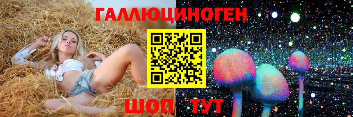 Кохма  Псилоцибиновые грибы Psilocybine cubensis  Вход с VPN  Псилоцибиновые грибы GOLDEN TEACHER 