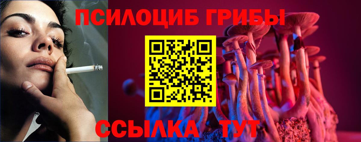 Псилоцибиновые грибы MAGIC MUSHROOMS Кохма