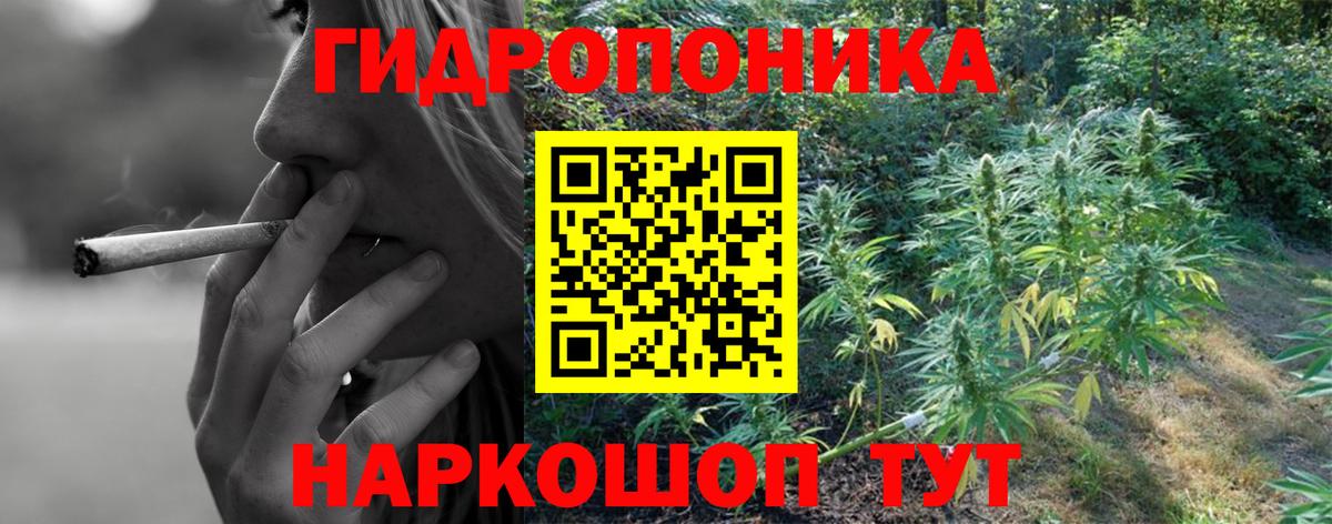 Конопля VHQ  Марихуана Bruce Banner  Вход с VPN  Кохма 